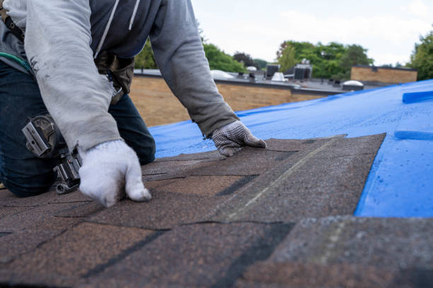 Best Commercial Roofing Services  in Blackhawk, SD