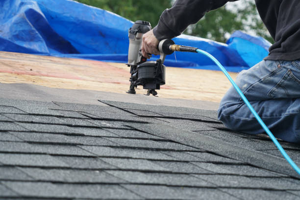 Best Shingle Roofing Installation  in Blackhawk, SD